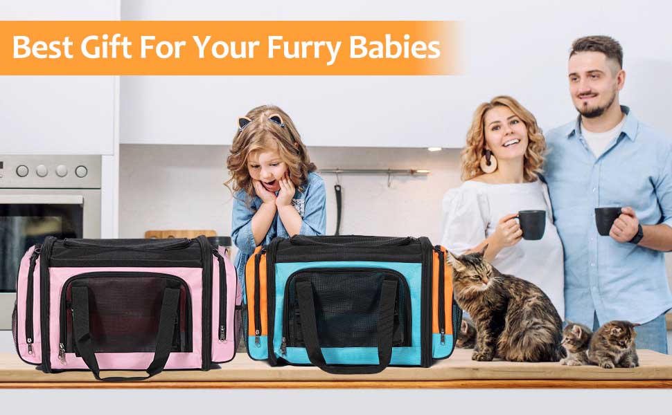 dog carry bag (13)